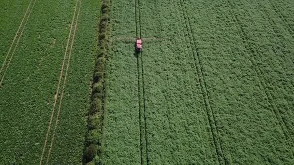 Flygdrönare Skott Jordbruksmaskiner Besprutning Jordbruksfält Suffolk Landsbygden Innan Skördar — Stockvideo