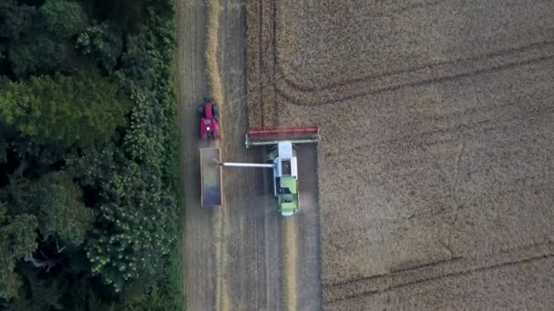 Vista Aérea Ceifeira Combinar Colheita Campo Trigo Campo Suffolk Imagens — Vídeo de Stock