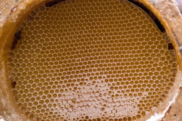 Bahar'ın Bazaarı istanbul