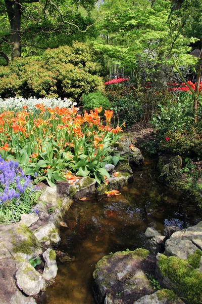 Kkeukenhof — Fotografia de Stock