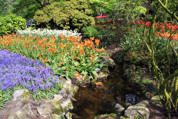 Keukenhof — Stockfoto