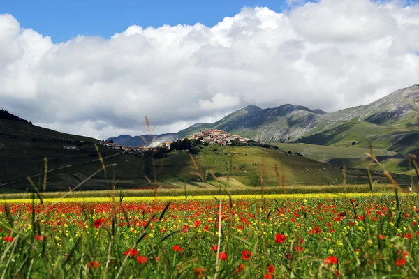 Castelluccio — Photo