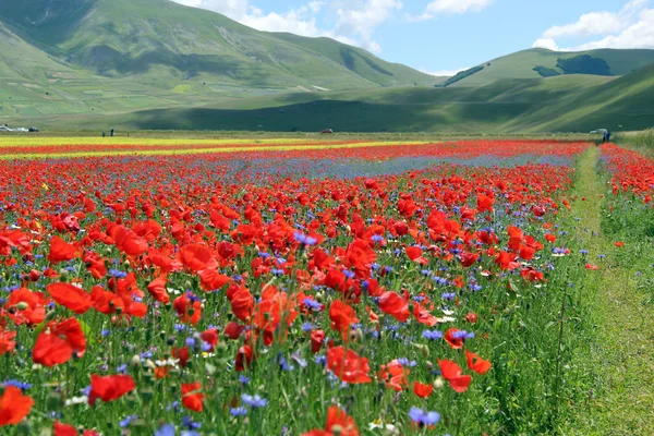 Castelluccio — Stockfoto