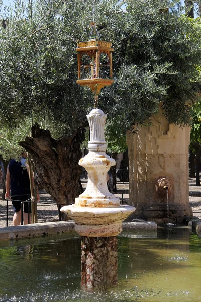 Córdoba — Foto de Stock