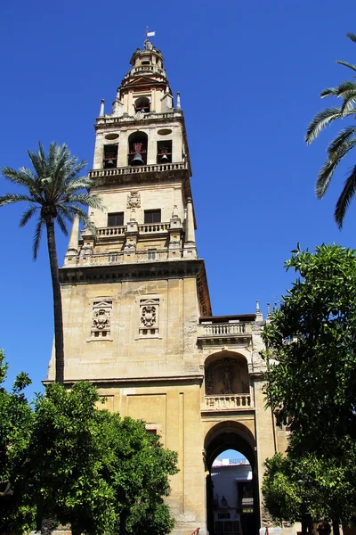 Cordoba — Stockfoto