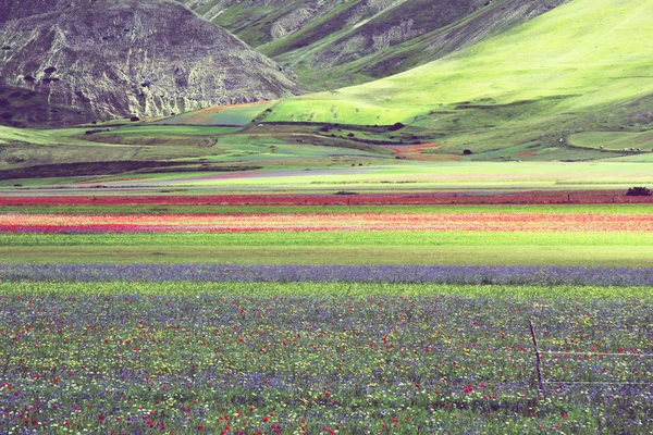 Кастеллусио-ди-Норсия — стоковое фото