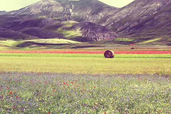 Castellucio di Norcia — Foto de Stock