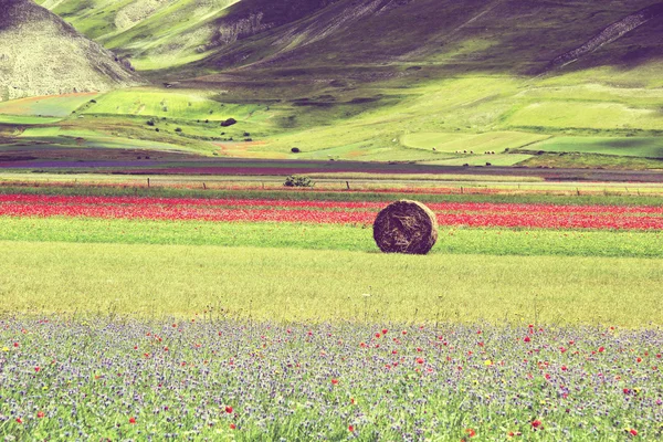 Castellucio di norcia — Stockfoto