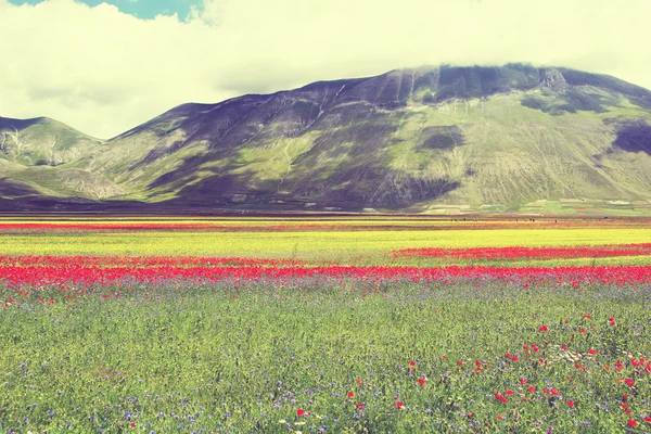 Castellucio di Norcia — Photo