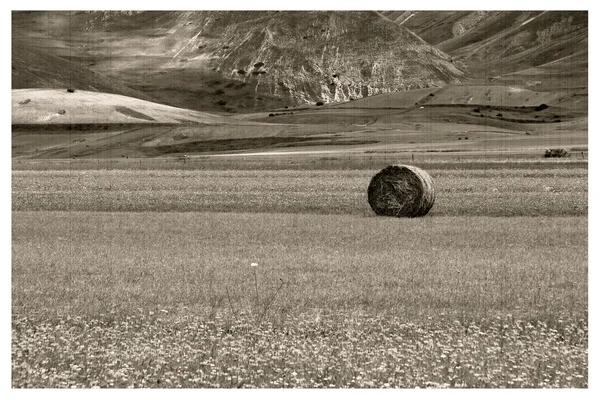 Castellucio di Norcia — Stock Photo, Image