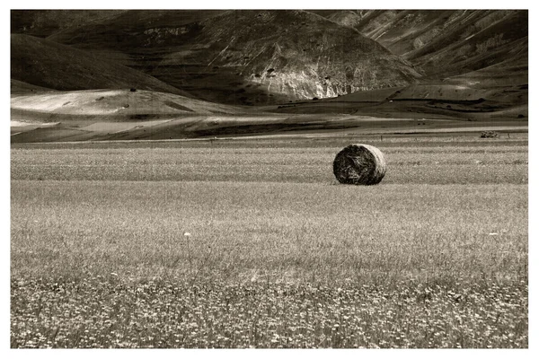 Castellucio di Norcia — Stock Photo, Image