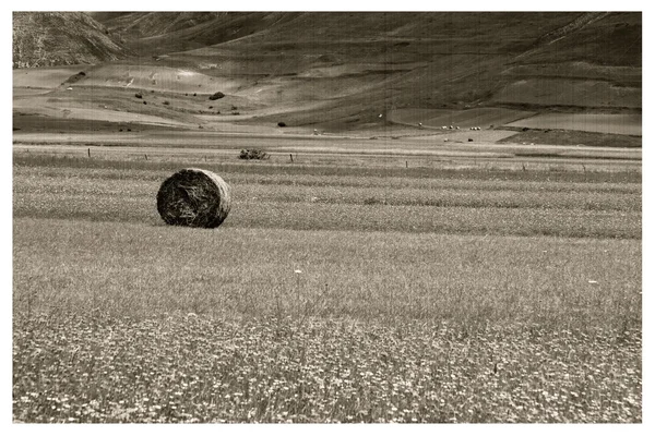 Castellucio di norcia — Stockfoto