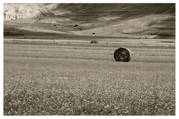 Castellucio di Norcia — Stock Photo, Image