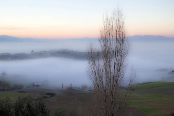 Misty landscape — Stock Photo, Image