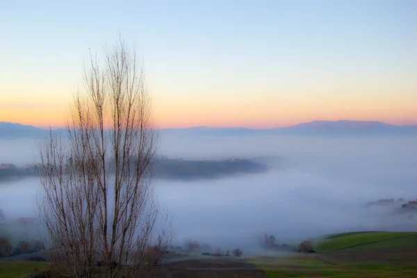 Mlhavá krajina — Stock fotografie