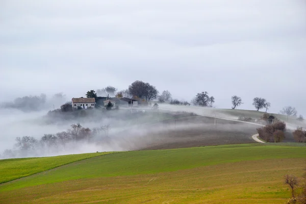 Misty landscape — Stock Photo, Image