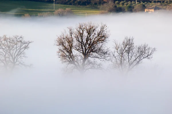 Mlhavá krajina — Stock fotografie