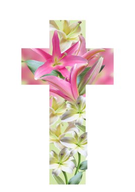 Cross lily çiçek yaptı