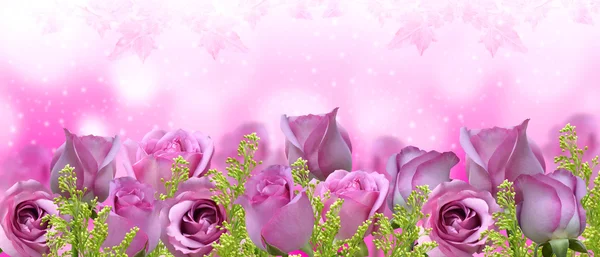 Belas rosas fundo-banner — Fotografia de Stock