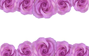 Çiçek gül kenarlık