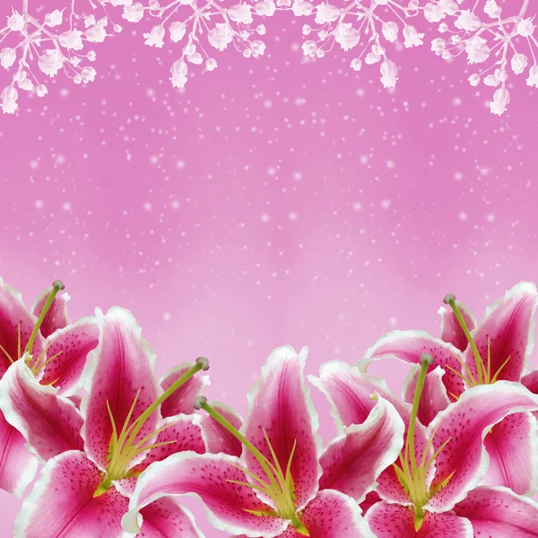 Lily blommor bakgrund — Stockfoto
