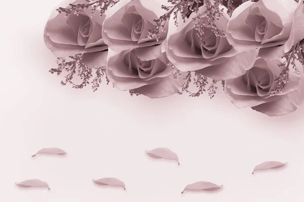 Roses with petals — Stock Photo, Image