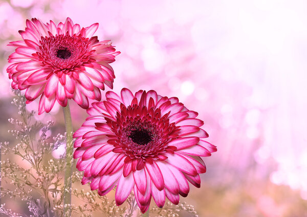 Романтический цветочный фон
