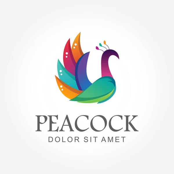 Harika Renkli Tavus Kuşu Logosu Tasarımı Kullanıma Hazır Güzel Bir — Stok Vektör