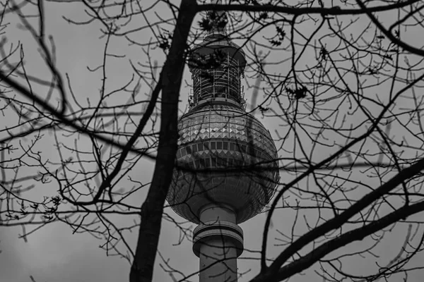 Berlinli Fernsehturm (Almanca: Berliner Fernsehturm) kışın siyah beyaz dalların arkasında