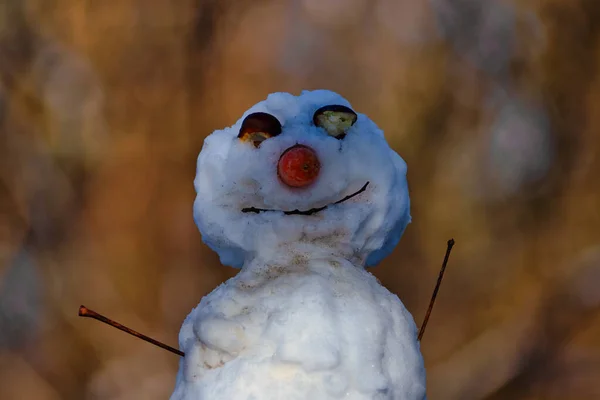 Χιονάνθρωπος Χειμώνα Θολή Φόντο — Φωτογραφία Αρχείου