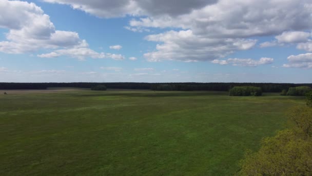 Voo Drone Sobre Campo Verde Prado Alemanha — Vídeo de Stock