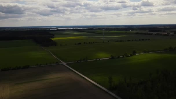 Uma Turbina Eólica Cercada Por Campos Verdes Gera Eletricidade Ecológica — Vídeo de Stock