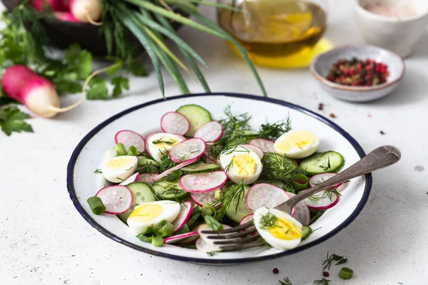 Taze Salatalıklı Salata Turp Otlar Kasede Limon Sağlıklı Beslenme Kavramı — Stok fotoğraf