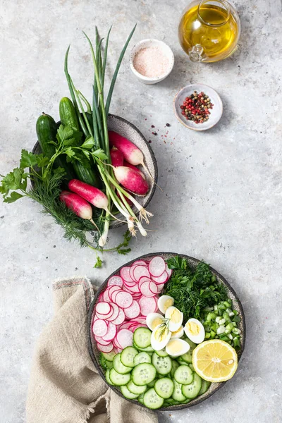 Ensalada Primavera Con Pepino Fresco Rábanos Hierbas Limón Tazón Concepto —  Fotos de Stock