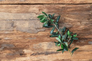 Ahşap zemin üzerinde zeytin dalları