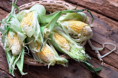 Koçanda sepette taze mısır.