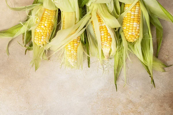 Corn Cob Light Background — Stock Photo, Image