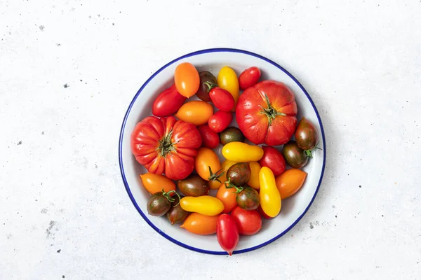 Tomates Frescos Coloreados Bol —  Fotos de Stock