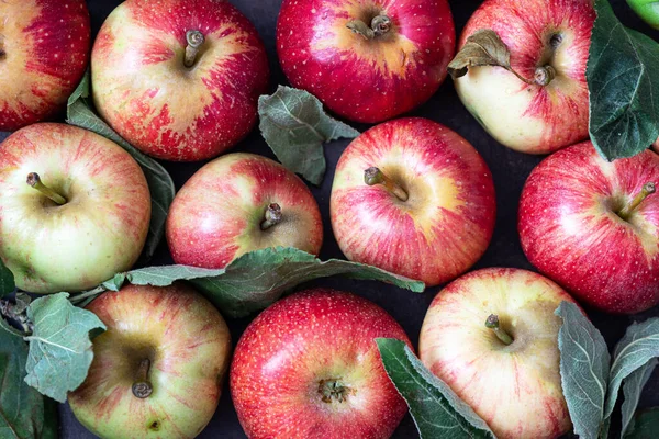 Wooden Box Fresh Apples Leaves — Stock Photo, Image