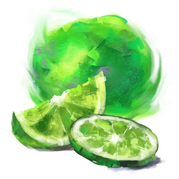 Drawing lime with a slice — Stock Vector