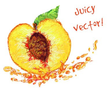 Şeftali bir dilim ile çizim