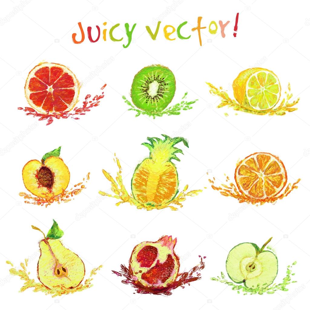 set of drawing fruits with a slice