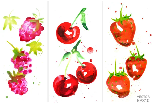Watercolor berry set — Stock Vector