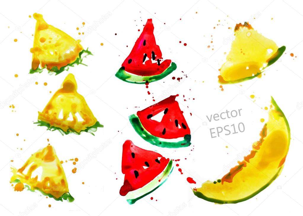 fruit slices set