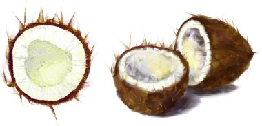 Çizim Hindistan cevizi seti