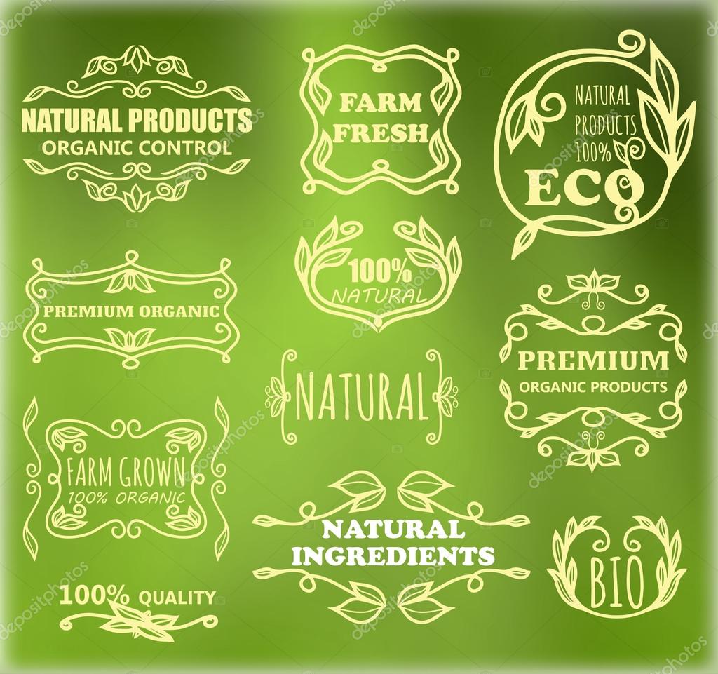Vector set of vintage frames for eco products