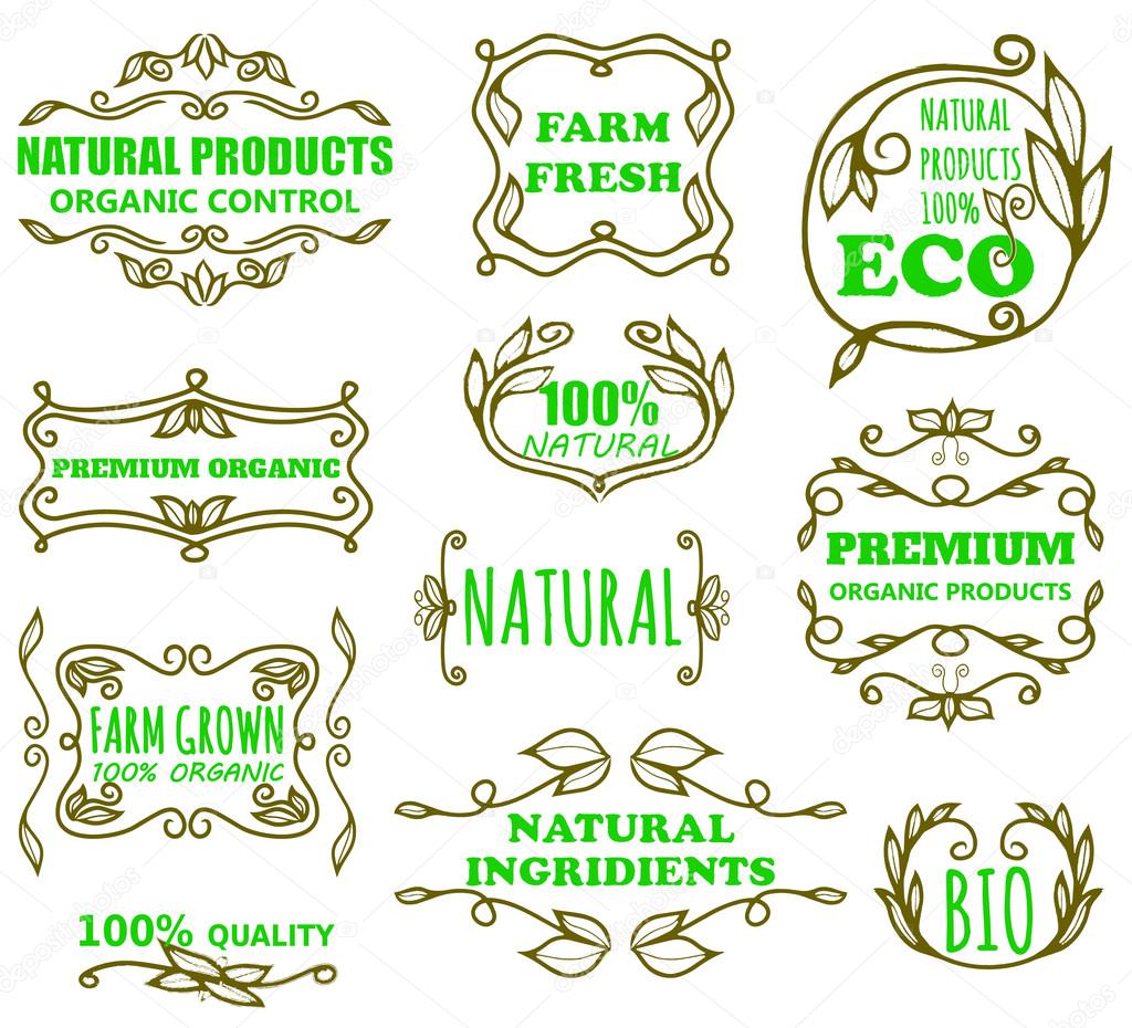 Vector set of vintage badges and monogram for eco products