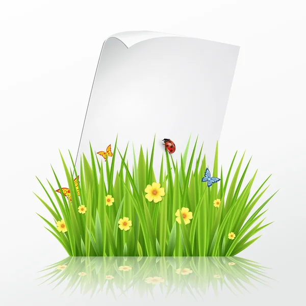 Modelo de quadro de grama verde de primavera fresca com papel de folha em branco de ondulação —  Vetores de Stock
