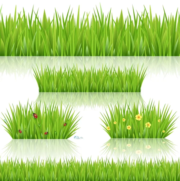 Hierba inconsútil verde — Vector de stock