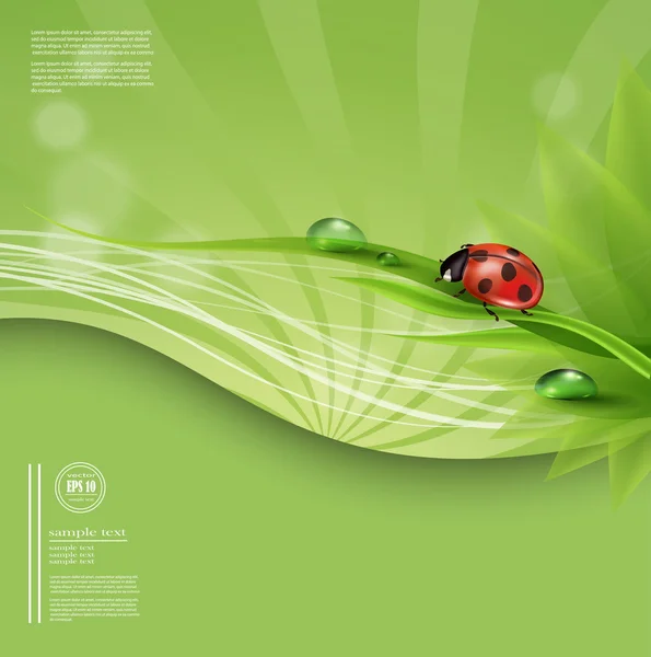 Groene lente of zomer abstracte achtergrond — Stockvector